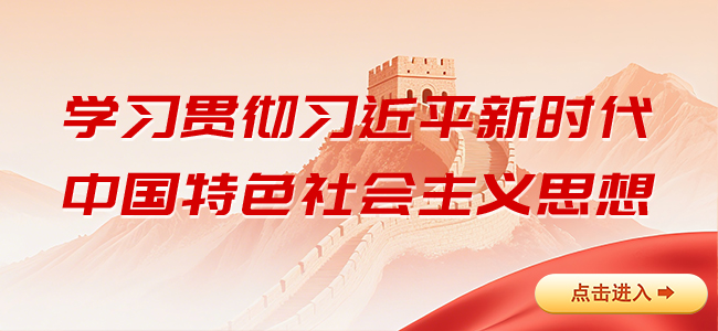 学习贯彻习近平新时代中国特色社会主义思想