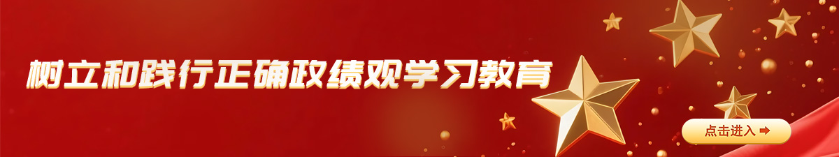 树立和践行正确政绩观学习教育